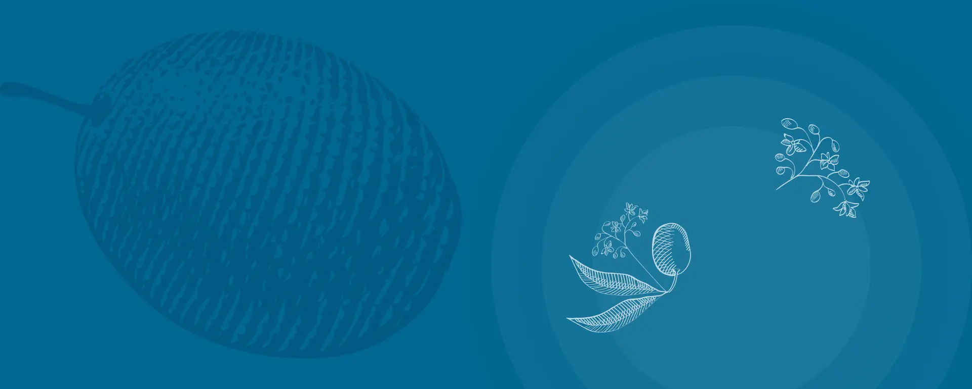 Free Shipping on All Orders Over