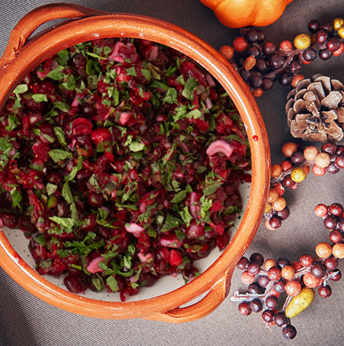 Cranberry Salsa