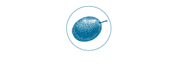The Blue Olive Shop - Buy Olive Oil Online